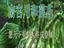 劍網(wǎng)3南宮川和蓮花任務(wù)視頻