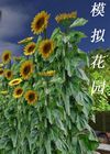 花园模拟2010