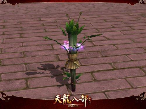 帶著花環(huán)的艾人在風中招展