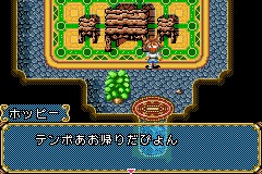 青蛙回家图片