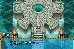 青蛙回家图片