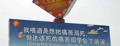 蟑螂不死我死！那些写广告词的都是神仙啊