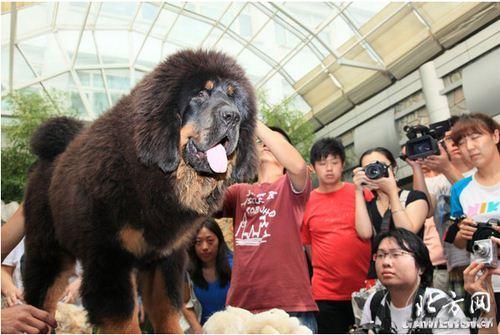 逗游网