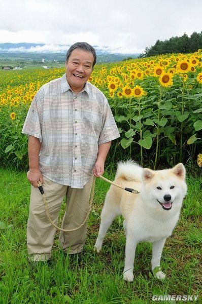 逗游网