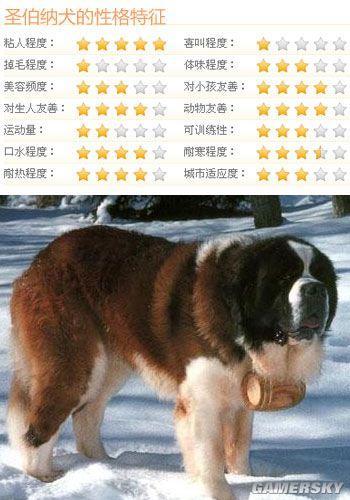 逗游网