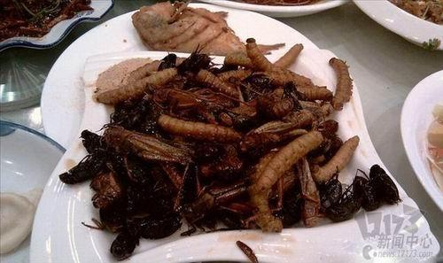 冷知識(shí)最新圖片
