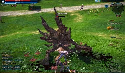 TERA,新游记,台服封测最新图片