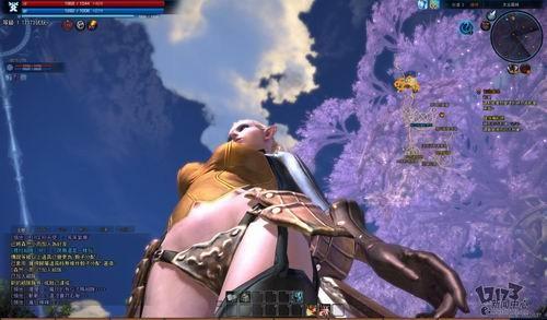 TERA,新游记,台服封测最新图片