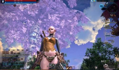 TERA,新游记,台服封测最新图片