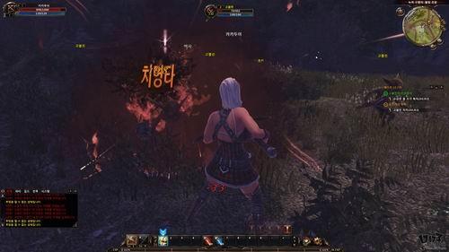 霸王大陆2,试玩最新图片