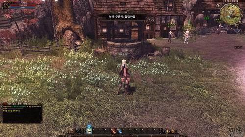 霸王大陆2,试玩最新图片