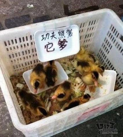 吐槽,吐槽集,神吐槽最新图片