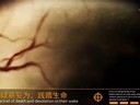 CE3巨作《战争前线》今日不删档测试 送288Q币礼包