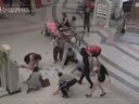 《看门狗》真人预告 ATM被黑吐钱路人疯狂来抢