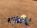 天涯明月刀杀手身份玩法详解