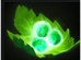 DOTA2特色英雄屠夫攻略 吃肉其實(shí)很簡(jiǎn)單