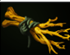 DOTA2特色英雄屠夫攻略 吃肉其實(shí)很簡(jiǎn)單