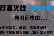 CF搞笑視頻《穿越火線珍藏趣圖精選》：第42集