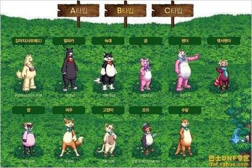 DNF2014年國慶禮包猜想第三發(fā) 野生動(dòng)物套