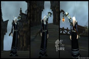 玩家幻化經(jīng)驗(yàn)：布甲系幻化 黑金款黑天鵝絨長袍