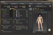 治疗堆信念还是坦克堆信念？FF14属性解析