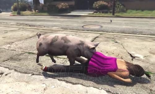 Gta5 全迷幻仙人掌变身动物地点 逗游网