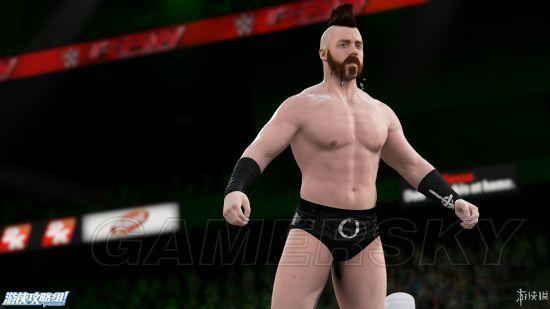 Wwe 2k16 画面及游戏性上手图文心得 逗游网