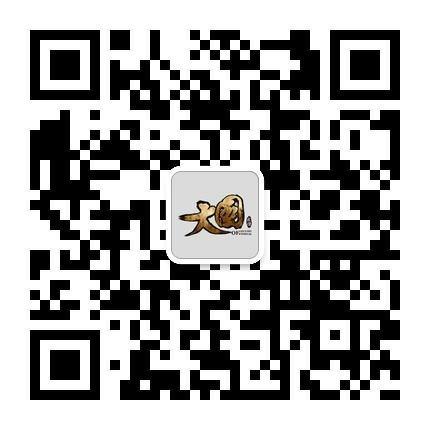 《大國》2.0版本即將來襲 四大特色玩法曝光