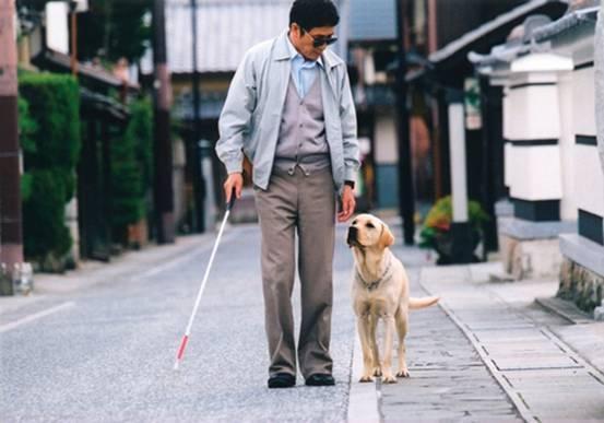 盲人与导盲犬