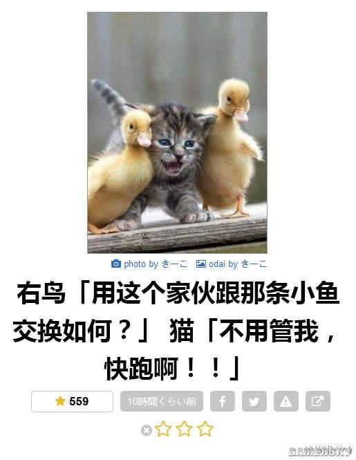 逗游網(wǎng)