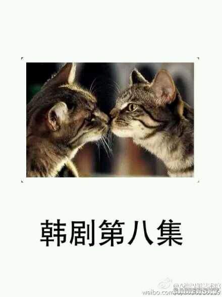 逗游网