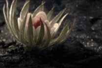 逗游网