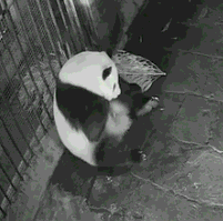 逗游网