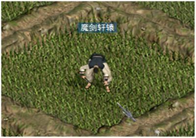 新天上碑最新圖片
