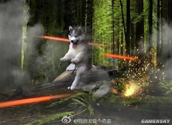 逗游网