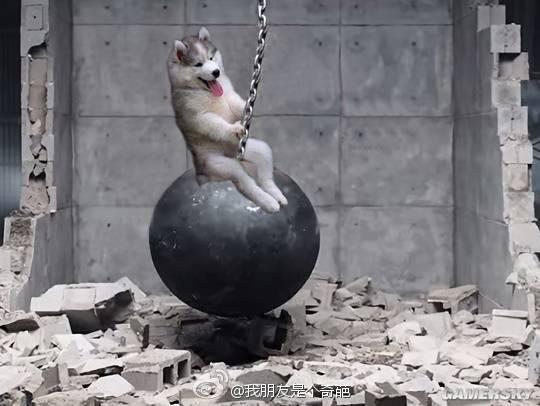 逗游网