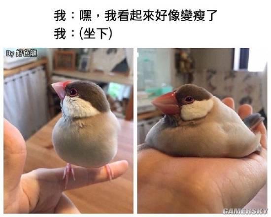 逗游網(wǎng)