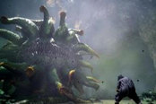 《最终幻想15》七色蛙位置一览