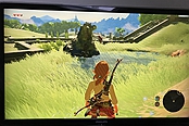 《塞尔达传说：荒野之息》Wii U版实机截图欣赏