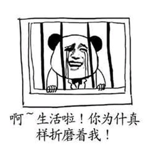 图5.jpg