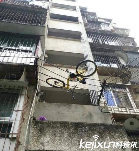 被扔高壓電線上 低配版ofo觸及監(jiān)管安全“高壓線”