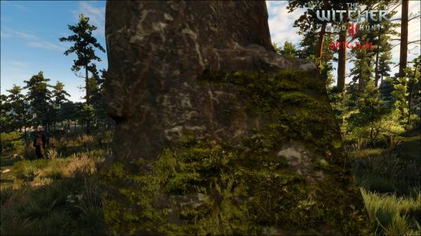 《巫師3》高清紋理Mod展示視頻 紋理清晰細節真實