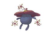 寶可夢(mèng)劍盾霸王花實(shí)戰(zhàn)分析