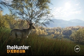 獵人荒野的呼喚挑戰(zhàn)石圈任務(wù)位置一覽