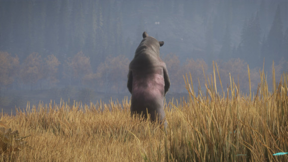 猎人荒野的召唤川姆范恩黑熊先生的照片快速完成方法