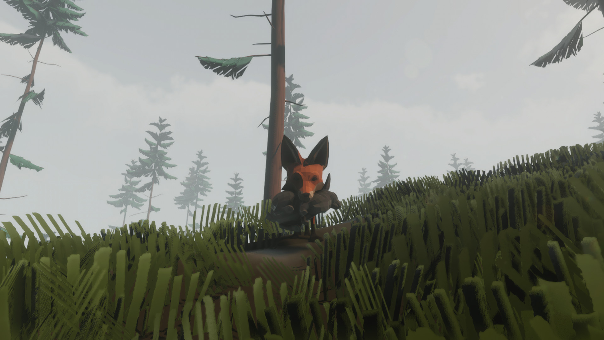 狐狸模拟器图片