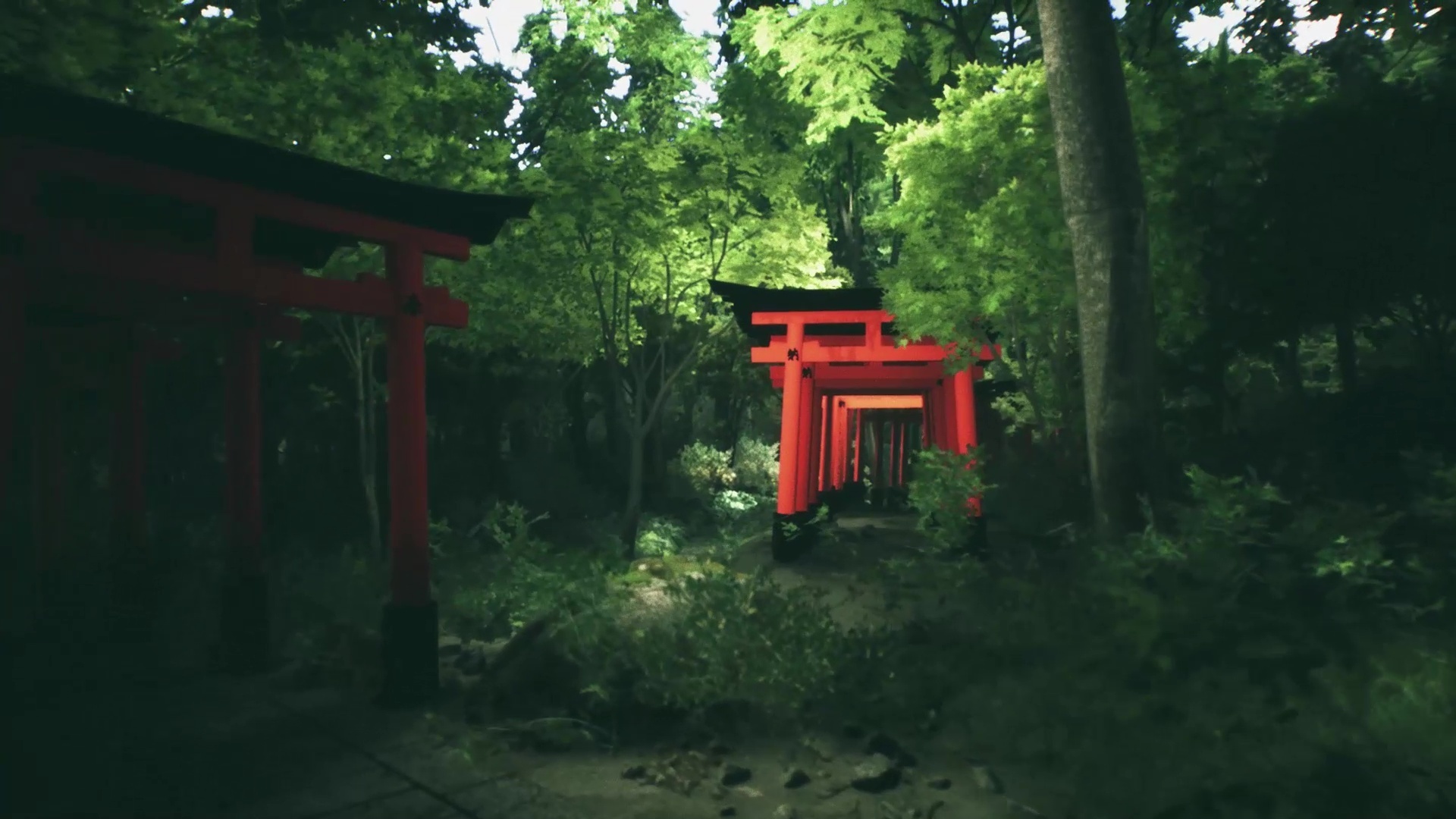 Explore Fushimi Inari图片