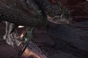 怪物獵人世界冰原大蟻?；牡毓治锘顒?dòng)位置一覽