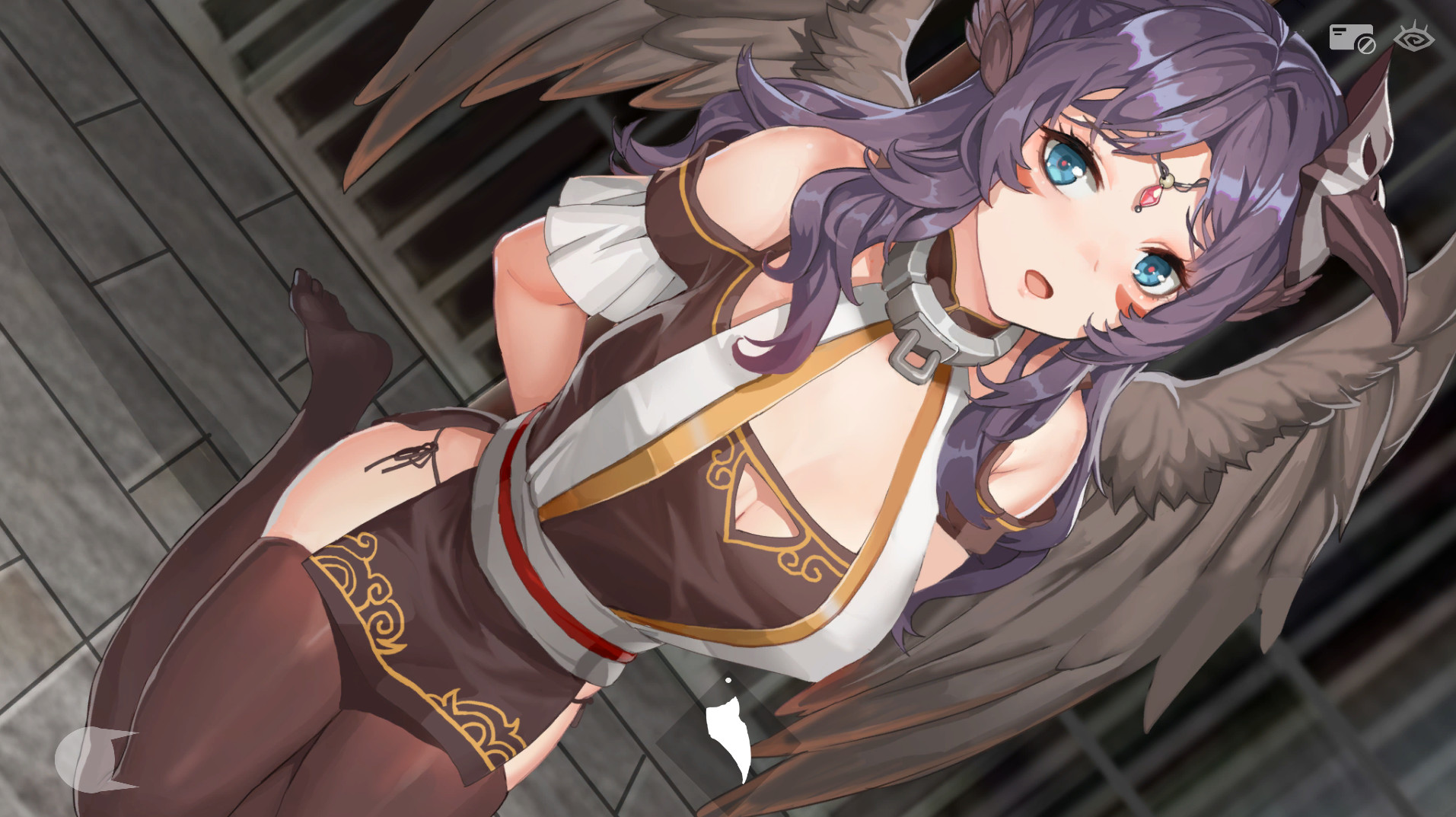 Seek Girl Ⅳ图片