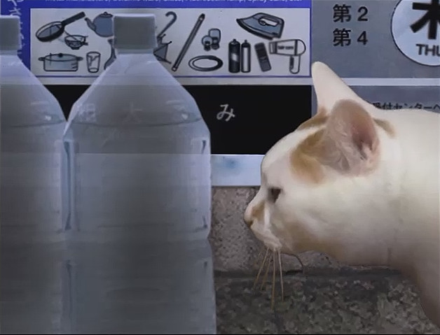 偿还图片